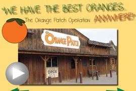 Tour The Orange Patch Shop